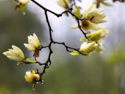 Eva tám - Cuộc sống như cơn mưa, người khôn ngoan cầm ô và tiến về phía trước