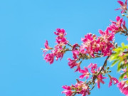 Eva tám - Không nói 3 câu này chứng tỏ bạn là người thực sự thông minh