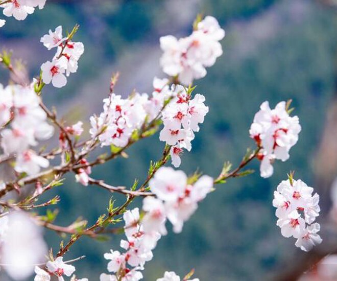 Người có 4 thói quen này chứng tỏ rất thông minh, không hề đơn giản - 1