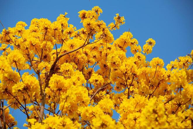Người có 4 thói quen này chứng tỏ rất thông minh, không hề đơn giản - 4