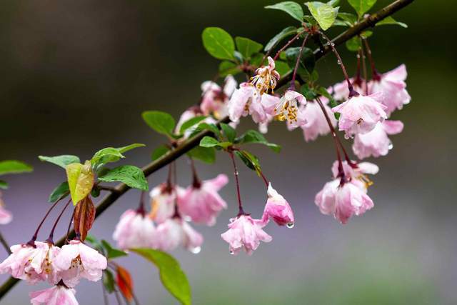 Cuộc sống như cơn mưa, người khôn ngoan cầm ô và tiến về phía trước - 3