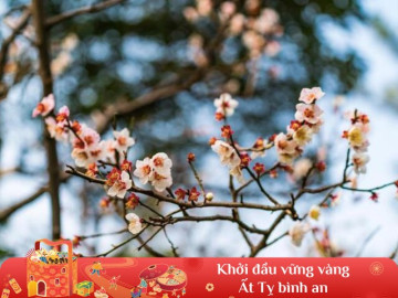 Không phải vẻ ngoài, 3 chữ này mới là sức quyến rũ tột đỉnh của phụ nữ