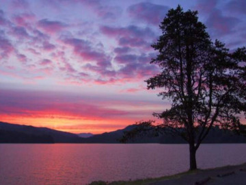 Người khôn ngoan biết tin vào 2 chữ này, phước lành ắt sẽ tới