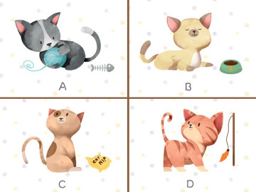 Trắc nghiệm tâm lý: Chọn một chú mèo theo trực giác của bạn