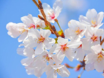 Người có 4 thói quen này chứng tỏ rất thông minh, không hề đơn giản