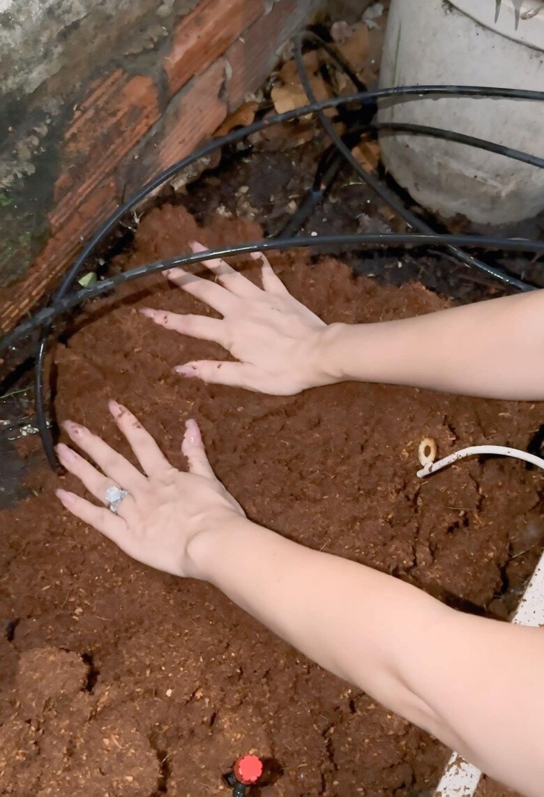 Á hậu ở nhà 10 tỷ để tay trần làm đất trồng rau, từng khoe khu vườn bội thu của chồng đại gia - 9