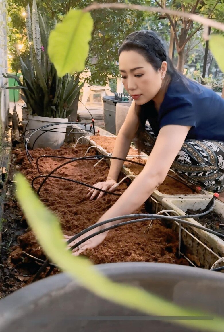 Không đeo găng tay, Trịnh Kim Chi trực tiếp nhào trộn đất bằng tay trần, cô rất tỉ mỉ và yêu thích công việc làm vườn.