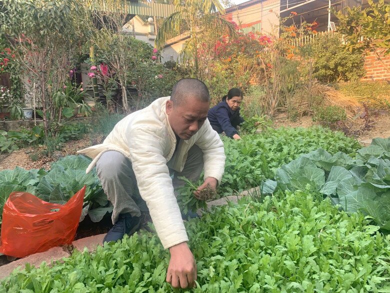 Cụ Đoành cùng người thân thu hoạch rau sạch vào để nấu ăn. Ngoài rau xanh, khu vườn còn được trồng nhiều hoa và cây ăn quả.