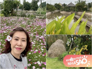 Nhà đẹp - Chốn an yên của cựu BTV "Ở nhà chủ nhật": Nhà vườn rộng đẹp, cả "rừng" hoa bướm nở rực lung linh