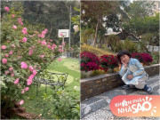 Nhà đẹp - Nhà NSND Xuân Bắc đẹp như resort: Có "vua của các loài hoa thơm", bà xã ngất ngây với rặng hồng mộng mơ