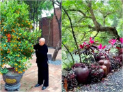 Giải trí - "Vua hài" Xuân Hinh tậu quất cao 3 mét, đón Tết ở biệt phủ 5.000m2: Quang cảnh bên trong được khen "thật tuyệt"