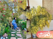 Nhà đẹp - Biệt thự sân vườn của nghệ sĩ Hồng Đào ở Mỹ: Đẹp như thiên đường, hoa nở rực từ trong ra ngoài