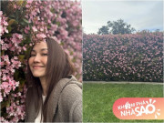 Nhà đẹp - Khung cảnh nở rộ sắc xuân đẹp như tranh vẽ tại nhà "Út Ráng" Kim Hiền ở Mỹ