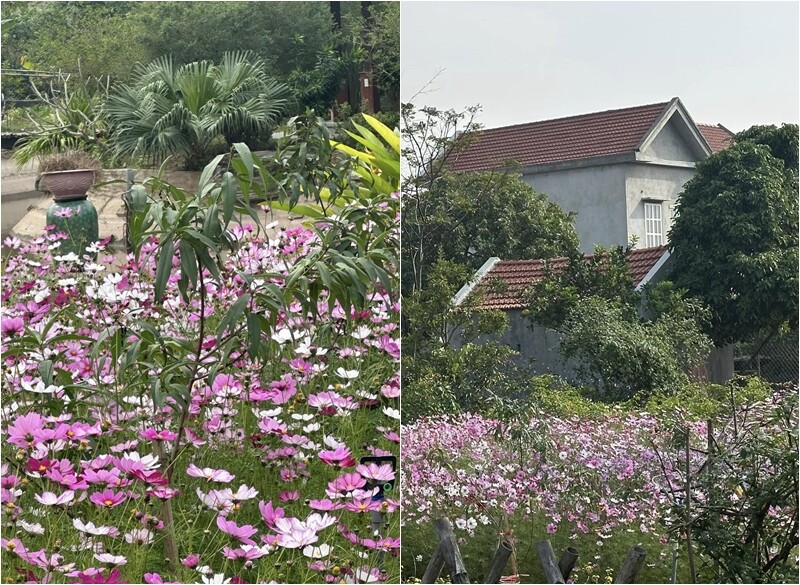 Không ít bạn bè còn bày tỏ mong muốn được về ngôi nhà này của Thanh Hường để chụp ảnh. Được biết nhà này nằm ở Ninh Bình.