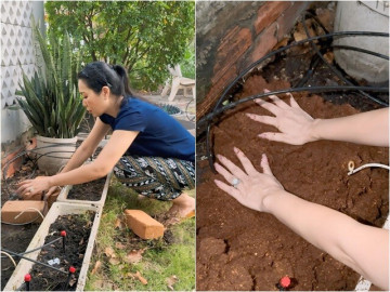 Á hậu ở nhà 10 tỷ để tay trần làm đất trồng rau, từng khoe khu vườn bội thu của chồng đại gia