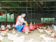 Tin tức - Nuôi con mắn đẻ "một vốn, bốn lời", chị nông dân Quảng Trị nhẹ nhàng thu lãi 1 tỷ đồng/năm