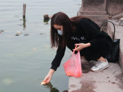 Tin tức - Người Hà Nội thả cá tiễn ông Công ông Táo về trời theo cách văn minh