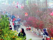 Tin tức - Tin tức 24h: Diễn biến đợt mưa rét sát Tết Nguyên đán