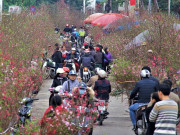 Tin tức - Miền Bắc duy trì rét hại trong ngày 29 Tết Ất Tỵ