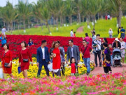 Tin tức - Nhiều tỉnh đón lượng khách du lịch lớn, thu nghìn tỷ dịp tết Nguyên đán 2025
