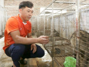 Tin tức - Kỹ sư xây dựng về quê mở trại chồn hương bạc tỷ