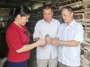 Tin tức - Dốc hết vốn liếng nuôi loài bé bằng nắm tay nhưng đẻ sòn sòn, ông nông dân Bắc Giang bỏ túi 500 triệu đồng/năm