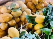 Sức khỏe - Loại quả được ví như thuốc bổ bán đầy chợ Việt giá chỉ vài chục nghìn đồng/kg