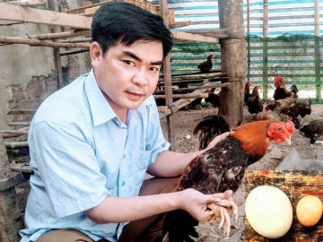 Nuôi loài vật vừa ngon vừa đẹp lại biết đẻ trứng vàng, anh nông dân nhẹ nhàng bỏ túi 2 tỷ đồng/năm