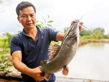 Mạnh dạn đầu tư nuôi loài thủy quái vừa ngon vừa đẹp, anh nông dân bỏ túi gần nửa tỷ đồng/năm rất nhẹ nhàng 