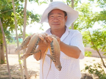 Nuôi loài đặc sản không thích tắm, có thể nhịn ăn lâu ngày, ông nông dân Bình Thuận bỏ túi 700 triệu đồng/năm