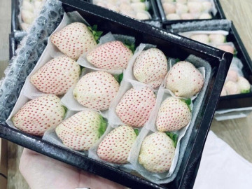 Dâu Bạch Tuyết giá rẻ bèo bán ngập thị trường, tiểu thương chia sẻ cách mua hàng chuẩn