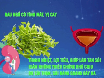 Loại rau gia vị quen thuộc tốt cho thận và kiểm soát đường huyết