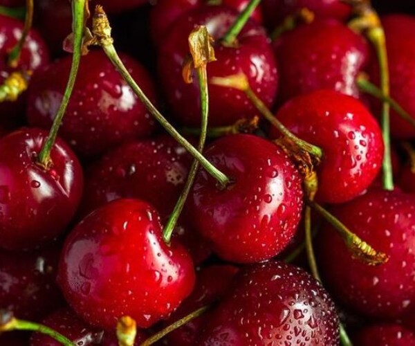 Cherry rất tốt cho sức khỏe. (Hình minh họa)