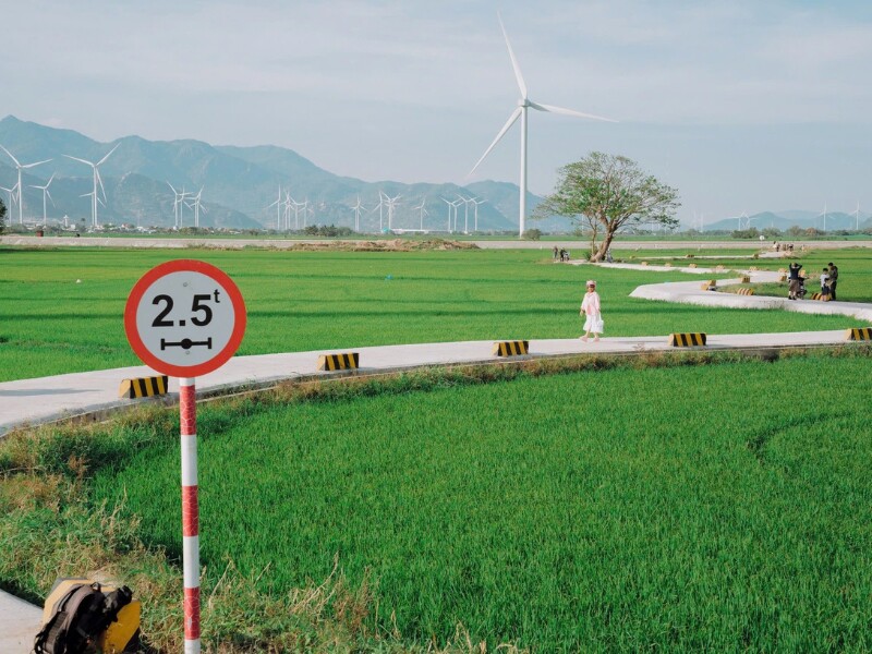 Mười sáu ngọn tuabin gió quay đều giữa cánh đồng, tạo nên một khung cảnh vừa hùng vĩ vừa thơ mộng. Phía xa, những dãy núi trập trùng ẩn hiện trong làn sương mờ, càng tô điểm thêm vẻ đẹp huyền ảo cho nơi đây. (Ảnh: Lương Phong)