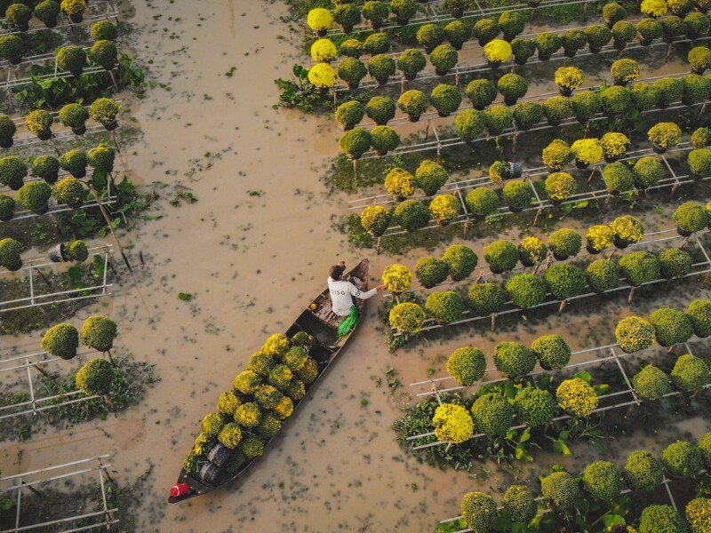 Đây cũng là lúc làng hoa bắt đầu đón du khách từ khắp nơi tìm đến để tham quan, chụp ảnh. (Ảnh: Vinh Gấu)