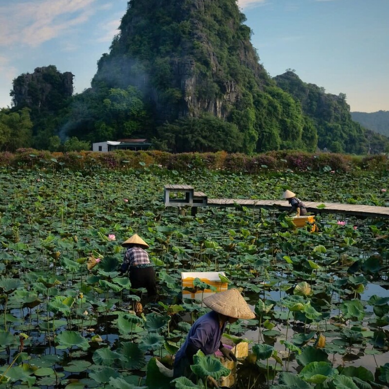 Hang Múa tọa lạc dưới chân núi Ngọa Long, trong quần thể khu du lịch sinh thái thuộc địa phận thôn Khê Đầu Hạ, xã Ninh Xuân, Hoa Lư, Ninh Bình.
