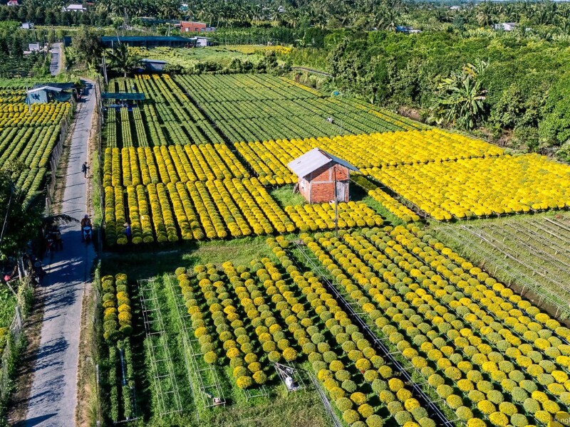 Du khách đi đâu cũng thấy hoa, đặc biệt là hoa được trồng trên giàn thẳng tắp và được bà con cũng như các khu điểm du lịch bày trí rất đẹp. (Ảnh: Việt Nam Ơi)