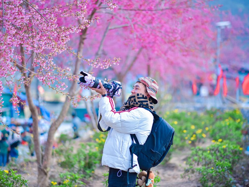 Ở Hà Giang, chủ yếu là hoa đào đỏ. Hoa đào Hà Giang thường mọc trên những thân cây cổ thụ cứng cỏi, rắn chắc. (Ảnh: Đặng Văn Hỵ)