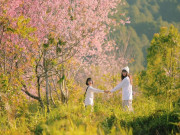 Lifestyle - Tháng 1 rủ nhau đi ngắm hoa đào khắp Việt Nam: 6 địa điểm hoa đào nở rộ đẹp ngất ngây như tiên cảnh
