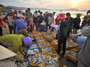 Lifestyle - Chợ hải sản nổi tiếng nhất Phan Thiết: Mua hàng bằng thau chứ không tính cân, khách Tây khách ta đều mê