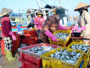 Lifestyle - Giữa lòng Vũng Tàu có khu chợ chuẩn ngon-bổ-rẻ, được mệnh danh là "thiên đường hải sản