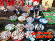 Lifestyle - Mách bạn khu chợ rẻ nổi tiếng ở Quy Nhơn, khách đông nghịt từ sáng đến tối nhờ hải sản tươi ngon mà giá cực bình dân