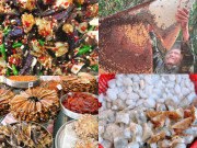 Lifestyle - 8 đặc sản Cà Mau mua về làm quà thì không có chỗ chê, ai nhận cũng tấm tắc khen khéo chọn