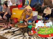 Lifestyle - Khu chợ hơn 300 tuổi ở Bình Thuận: Xưa chỉ buôn bán nhỏ, nay thành chợ sầm uất bậc nhất thành phố