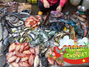 Lifestyle - Dậy từ 3h đi khu chợ hải sản đêm sầm uất nhất Lý Sơn, đủ loại hải sản xịn xò với giá rẻ chưa từng thấy