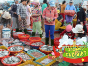 Lifestyle - Quy Nhơn có một khu chợ cá lớn và nổi tiếng bậc nhất miền Trung, bán đủ loại hải sản với giá tận gốc