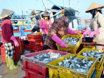 Giữa lòng Vũng Tàu có khu chợ chuẩn ngon-bổ-rẻ, được mệnh danh là thiên đường hải sản