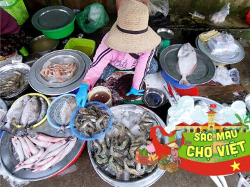 Mách bạn khu chợ mua hải sản uy tín nhất Đà Nẵng, đảm bảo tươi nhảy tanh tách mà giá rẻ chưa từng thấy