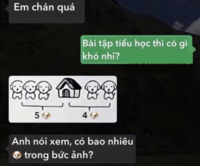 Bài toán tiểu học amp;#34;Có bao nhiêu con chó trong bức ảnh?amp;#34;, bố trả lời 5 con khiến mẹ “chán hẳn” - 1