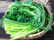 Yêu con - 6 loại rau không chăm cũng tự lớn lại có dư lượng thuốc trừ sâu bằng 0, mẹ thoải mái nấu cho con ăn